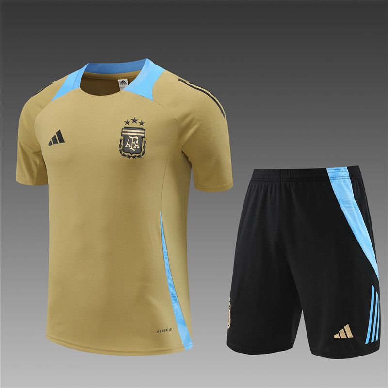 Argentina 24/25 Golden Training Kit